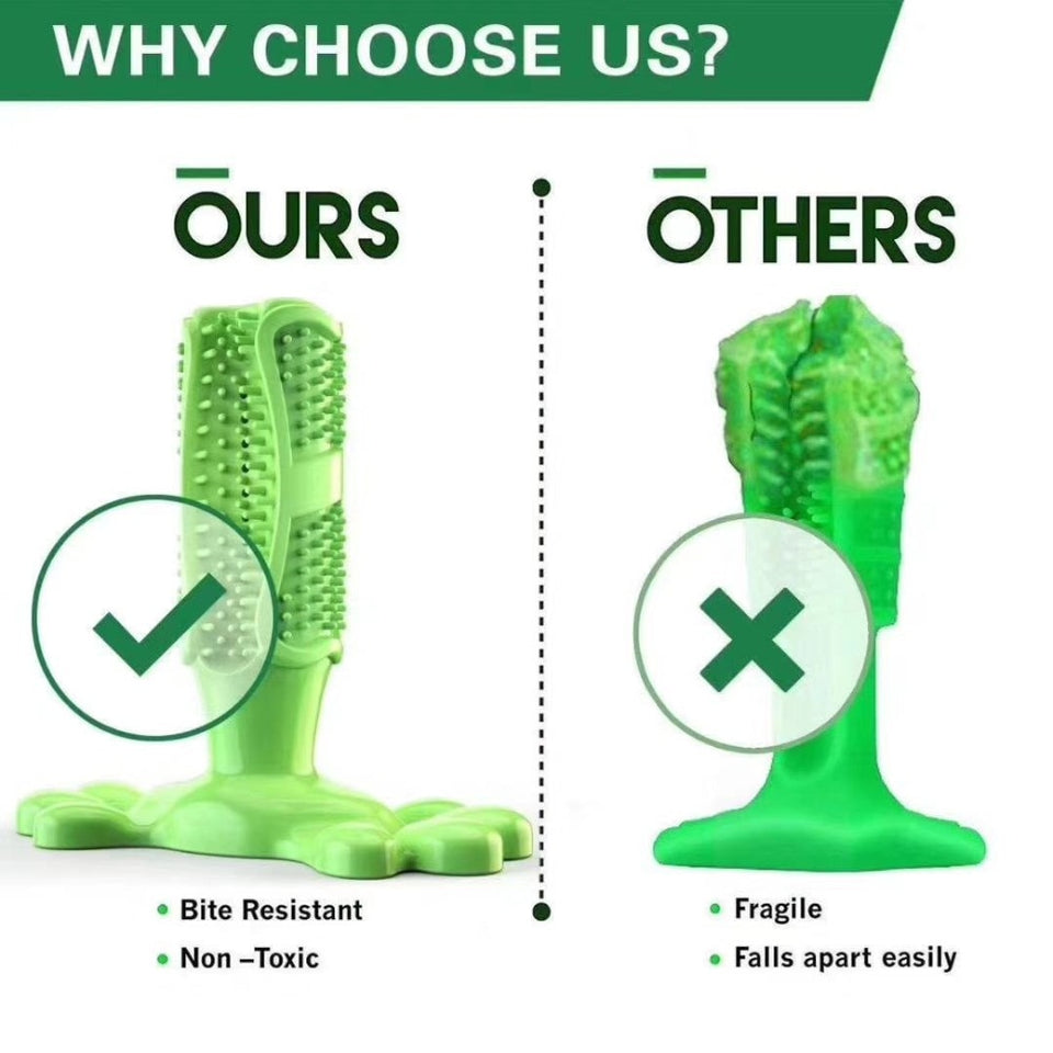 Pet Chew Toothbrush Stick