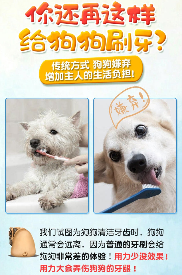 Pet Chew Toothbrush Stick
