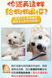 Pet Chew Toothbrush Stick