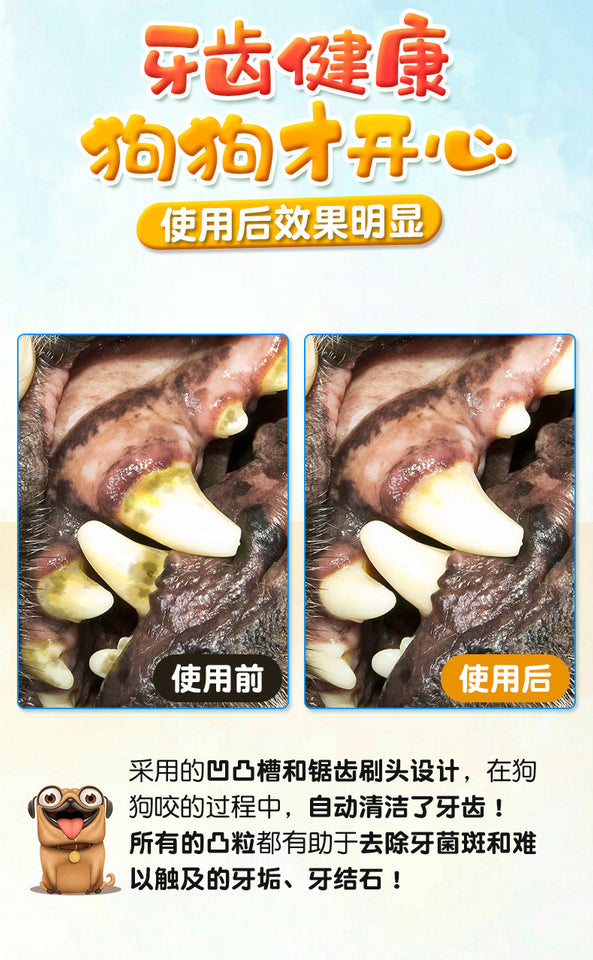 Pet Chew Toothbrush Stick