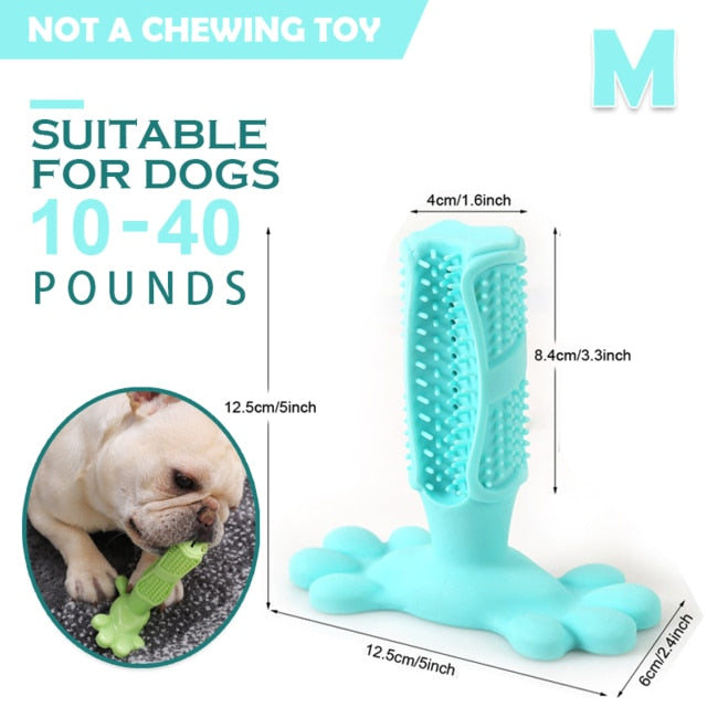 Pet Chew Toothbrush Stick