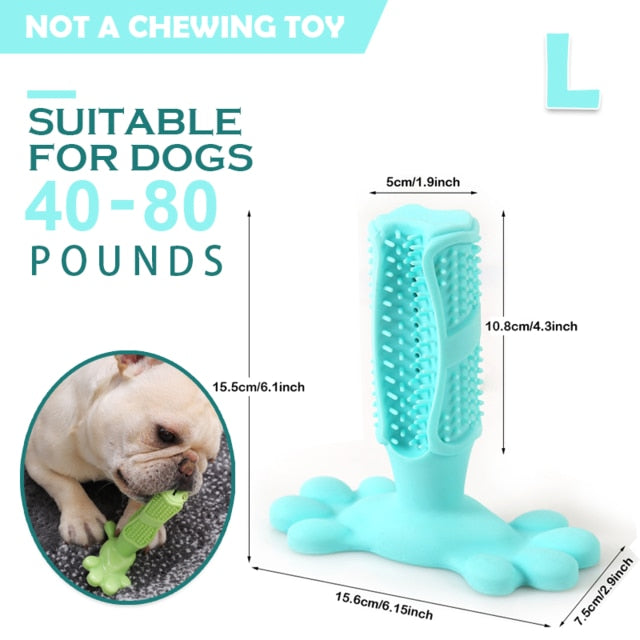 Pet Chew Toothbrush Stick
